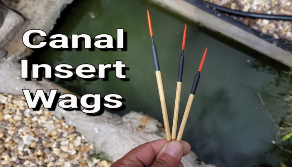 Canal Insert Wags